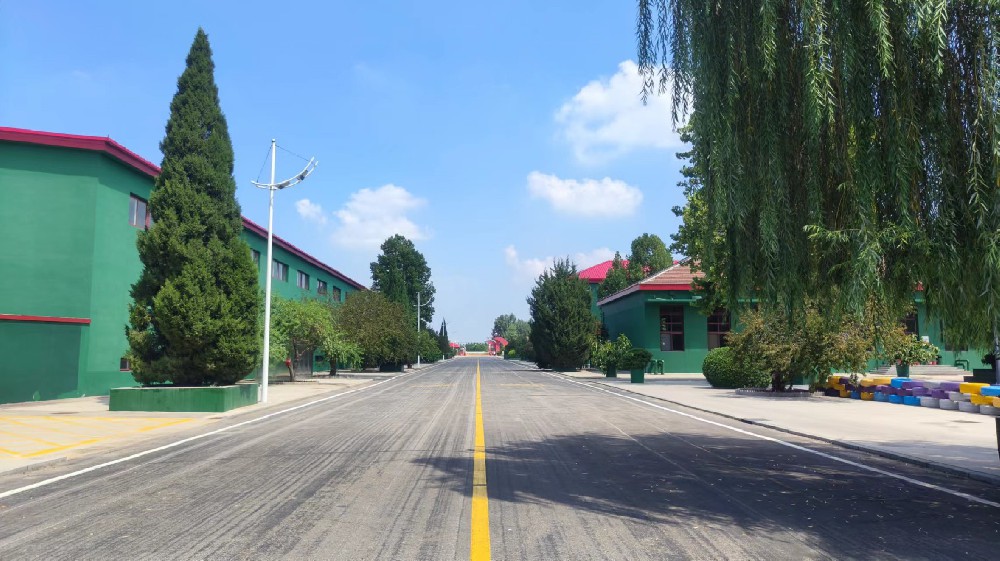 打造校園新風貌：合適學校使用的醇酸漆