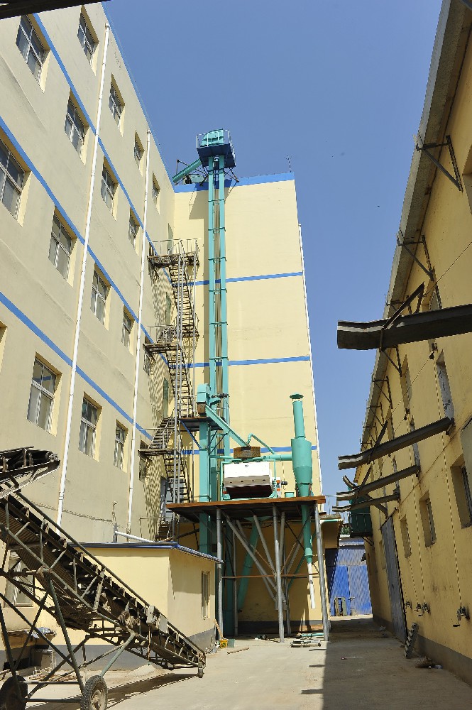 建筑外墻的煥新之選：醇酸面漆的維護(hù)與美化