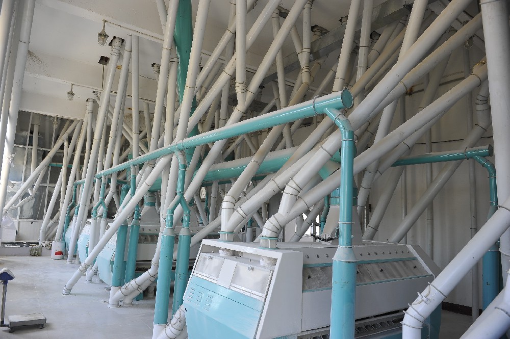 食品加工廠設(shè)備煥新裝：晨虹醇酸清漆，守護(hù)安全與衛(wèi)生